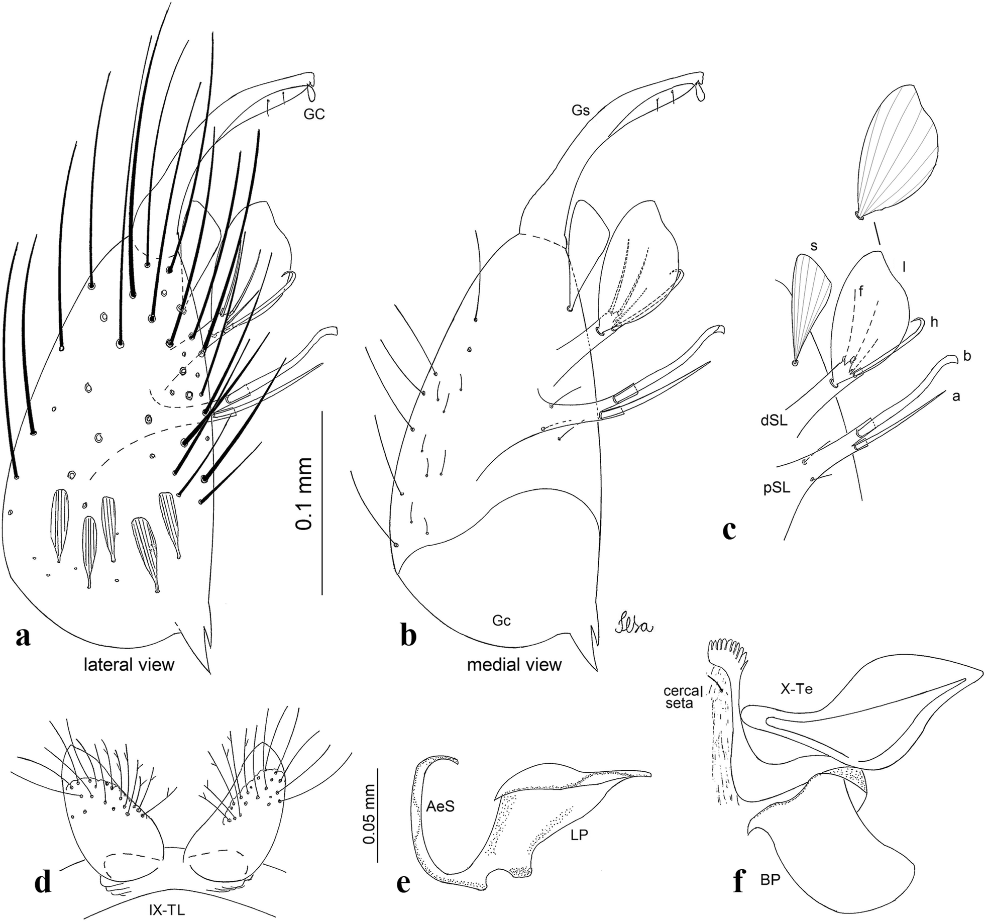 Fig. 8