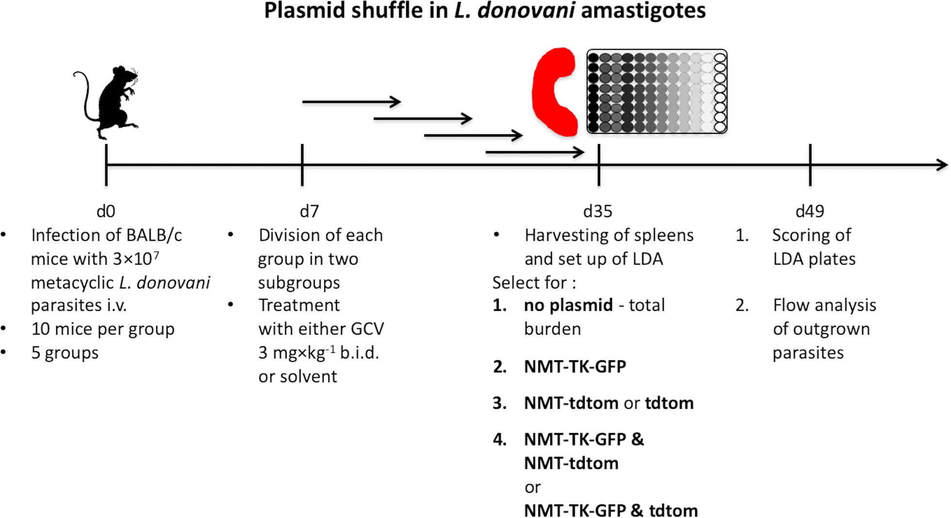 Fig. 4