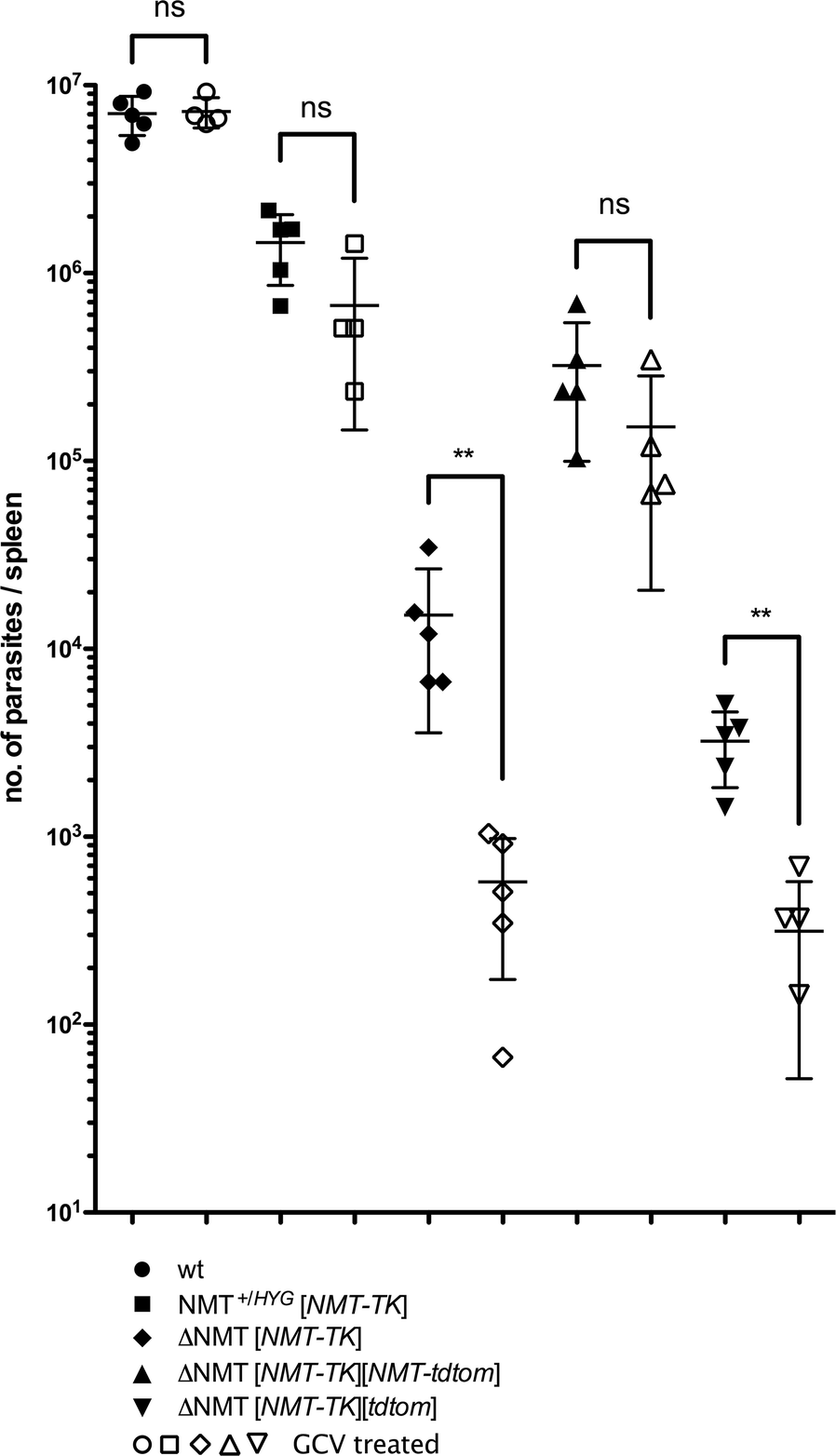 Fig. 6