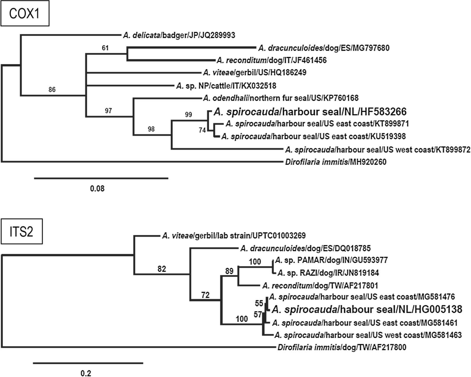 Fig. 2