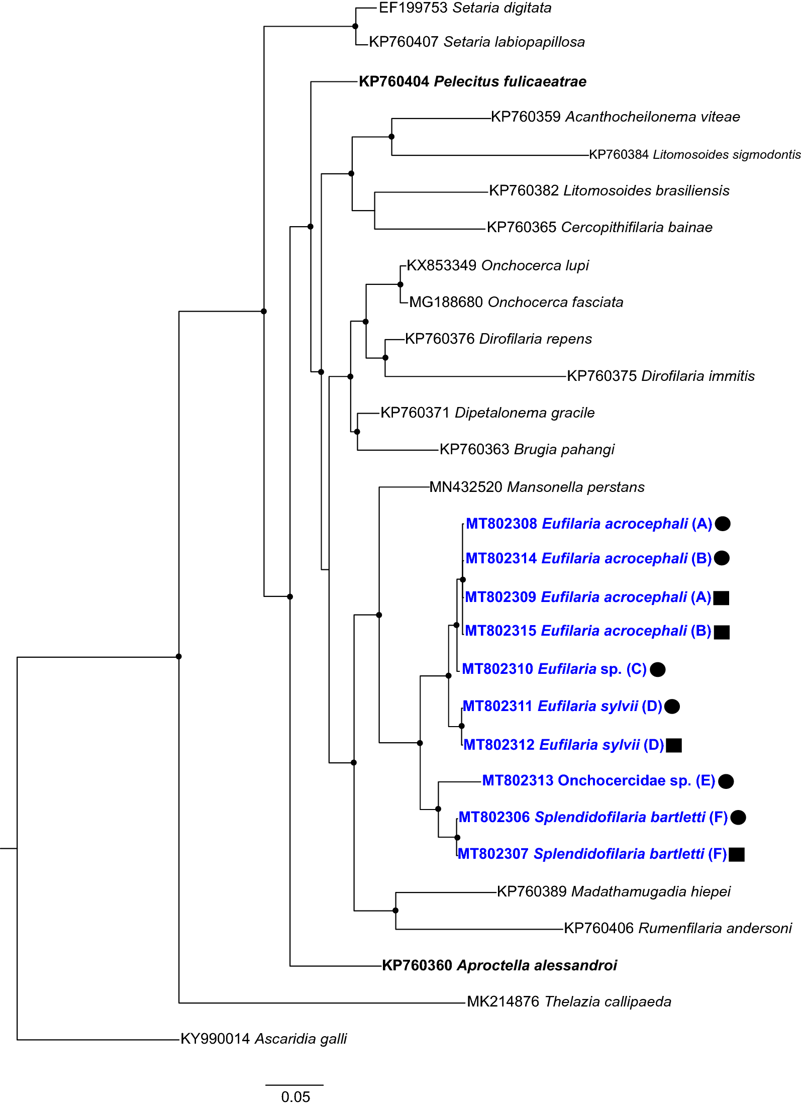 Fig. 6