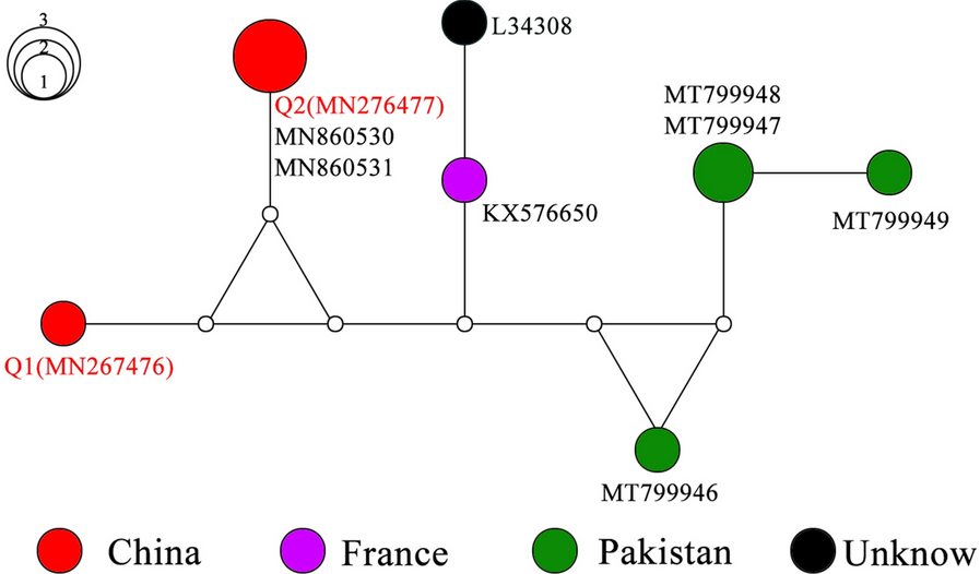 Fig. 2