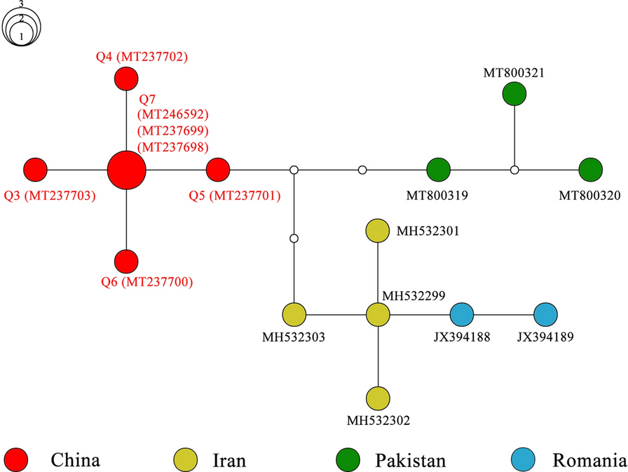 Fig. 3