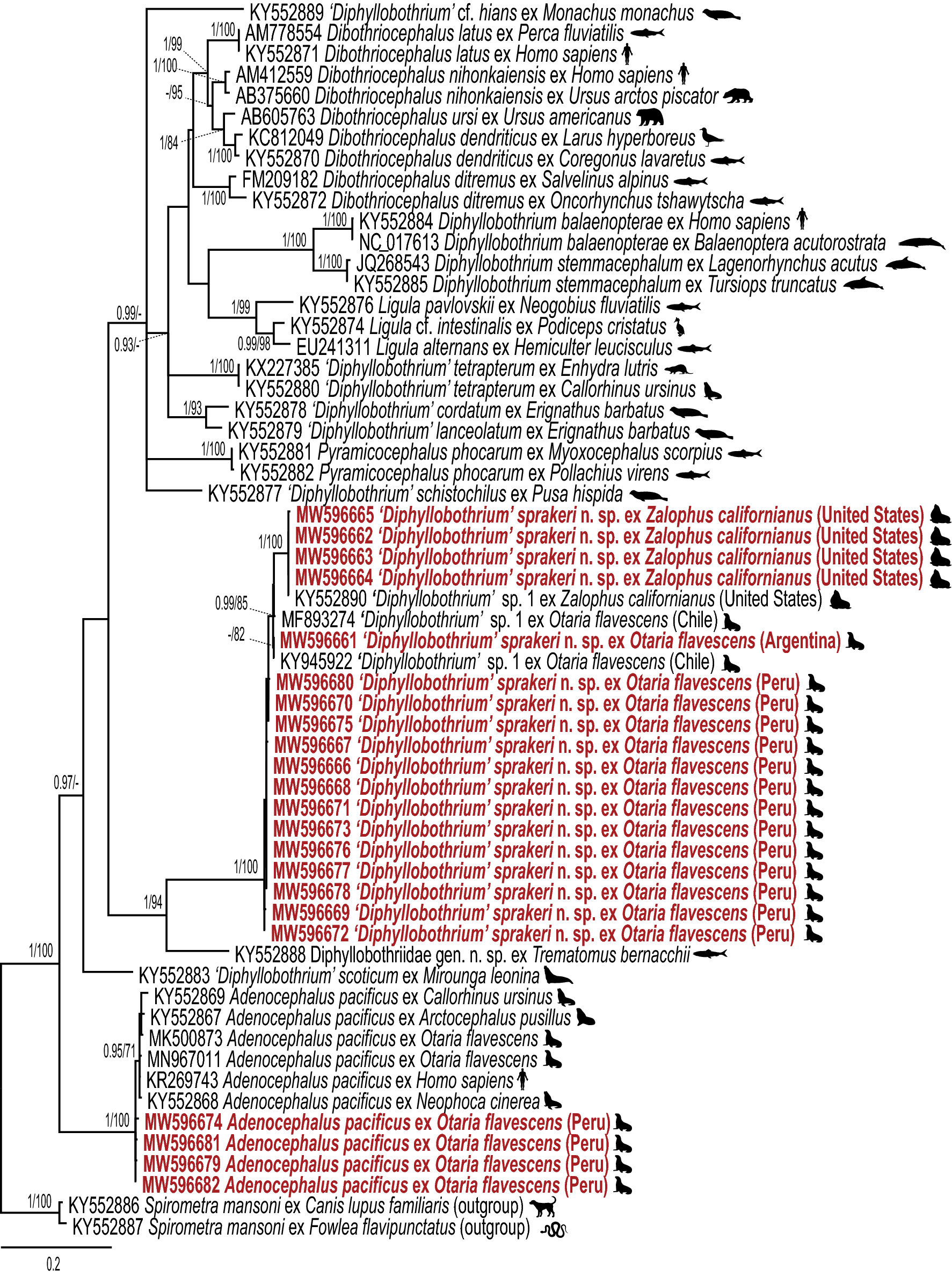 Fig. 2