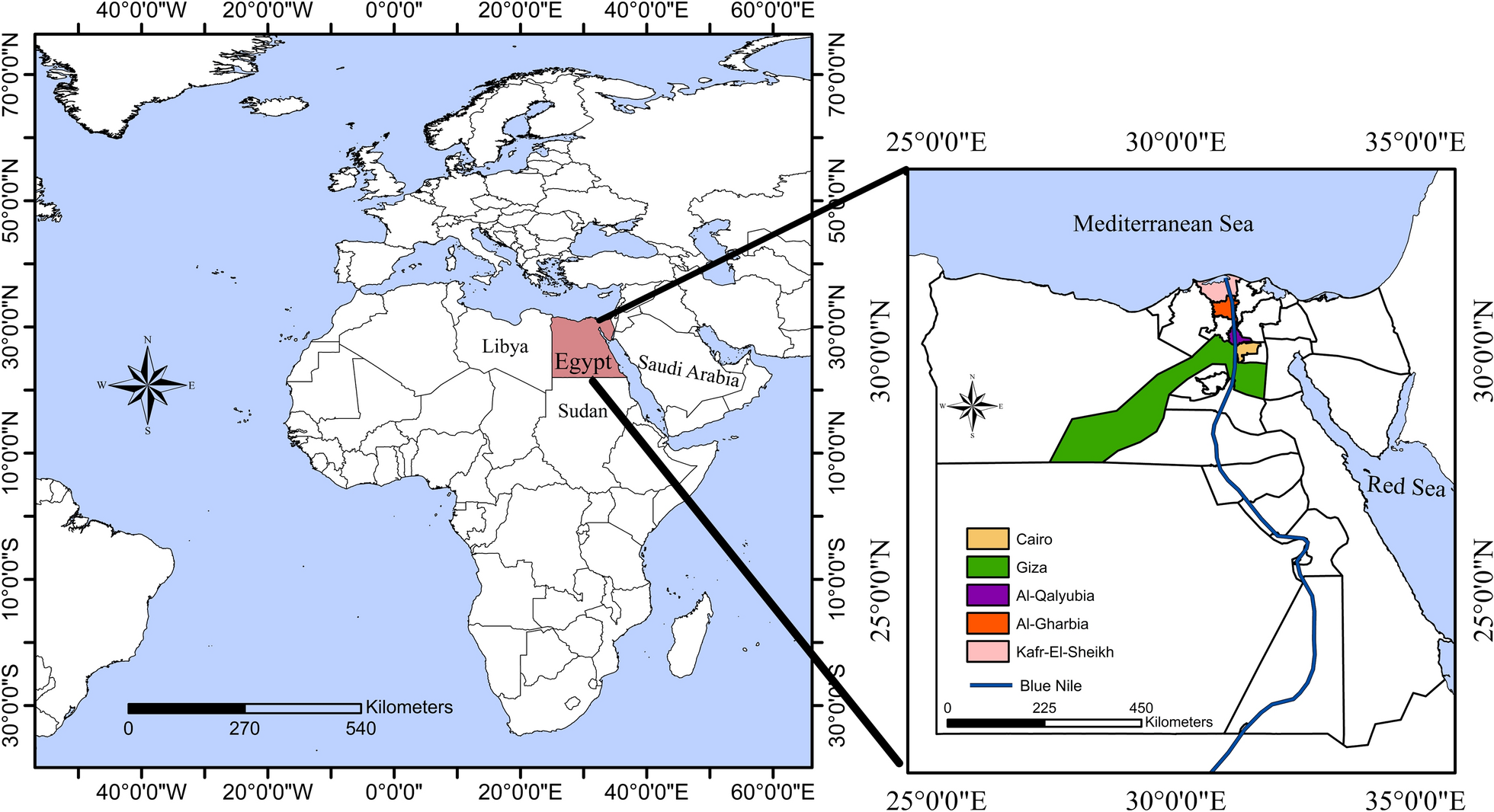 Fig. 1