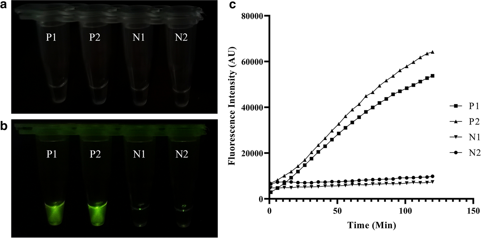 Fig. 3