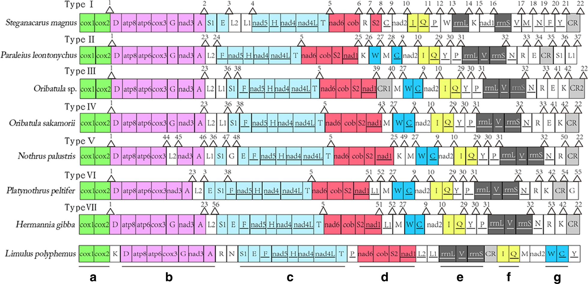 Fig. 6