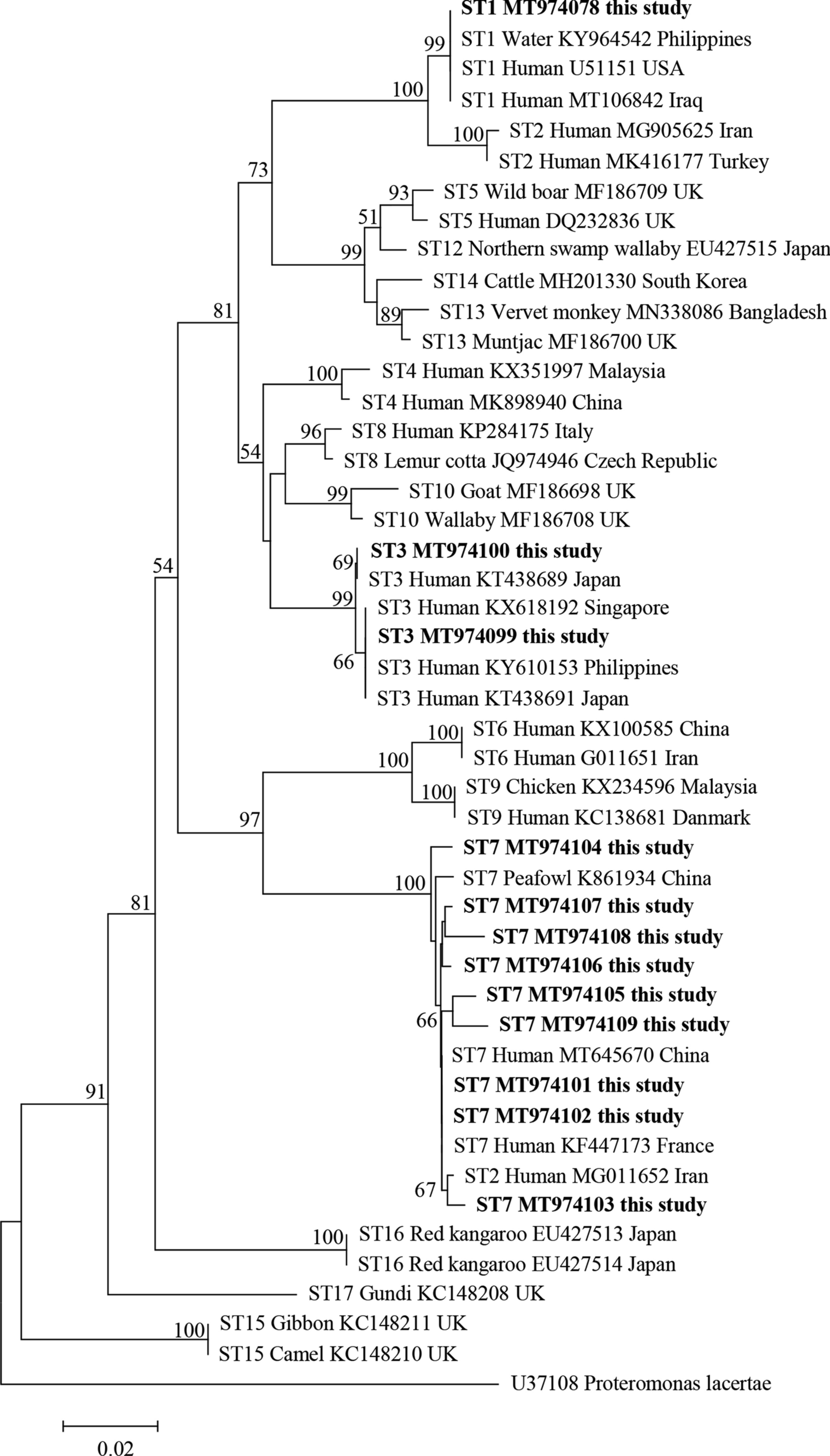 Fig. 2