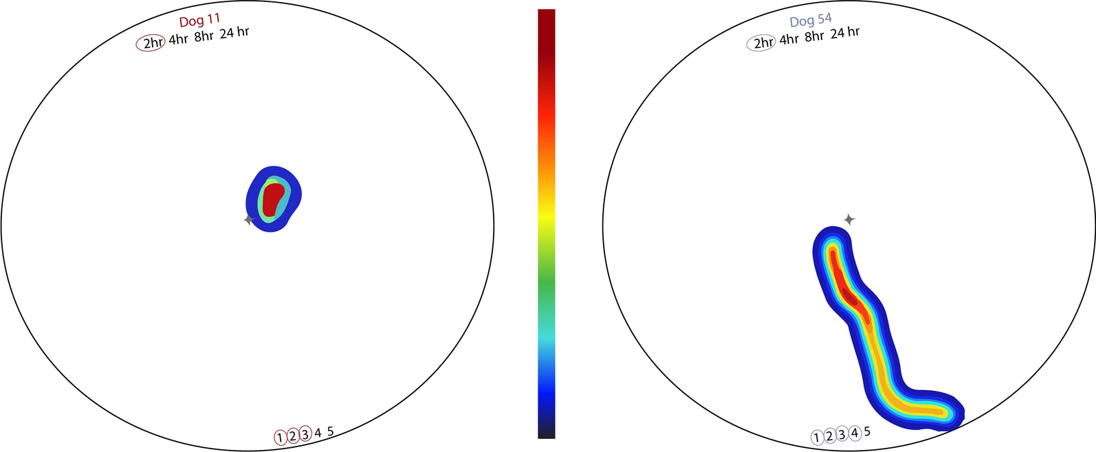 Fig. 3