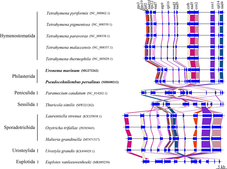 Fig. 6