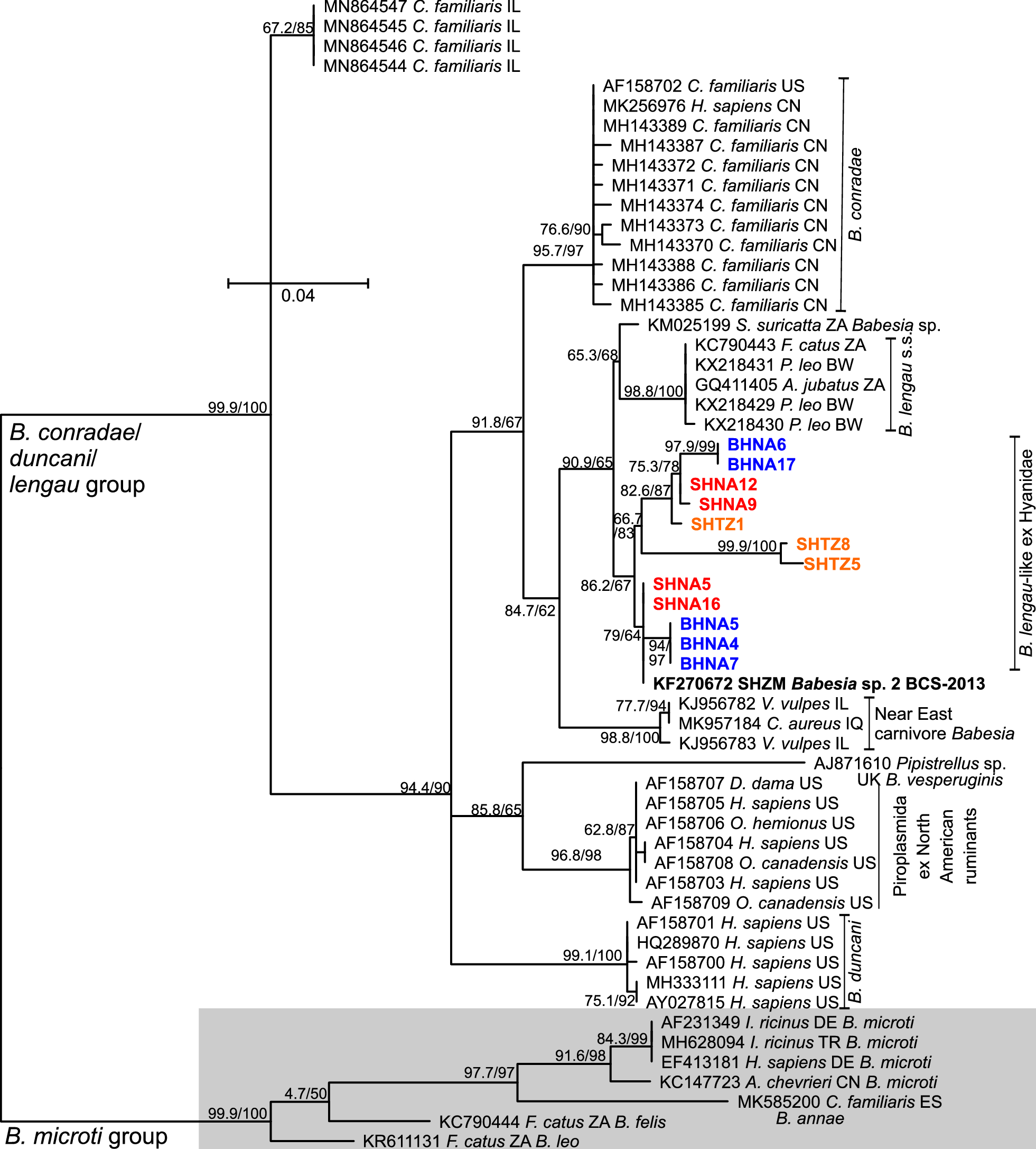 Fig. 2