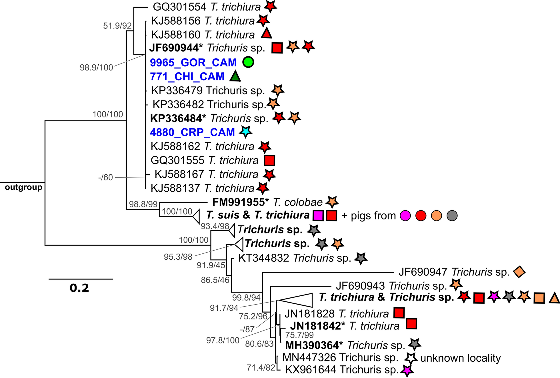 Fig. 4