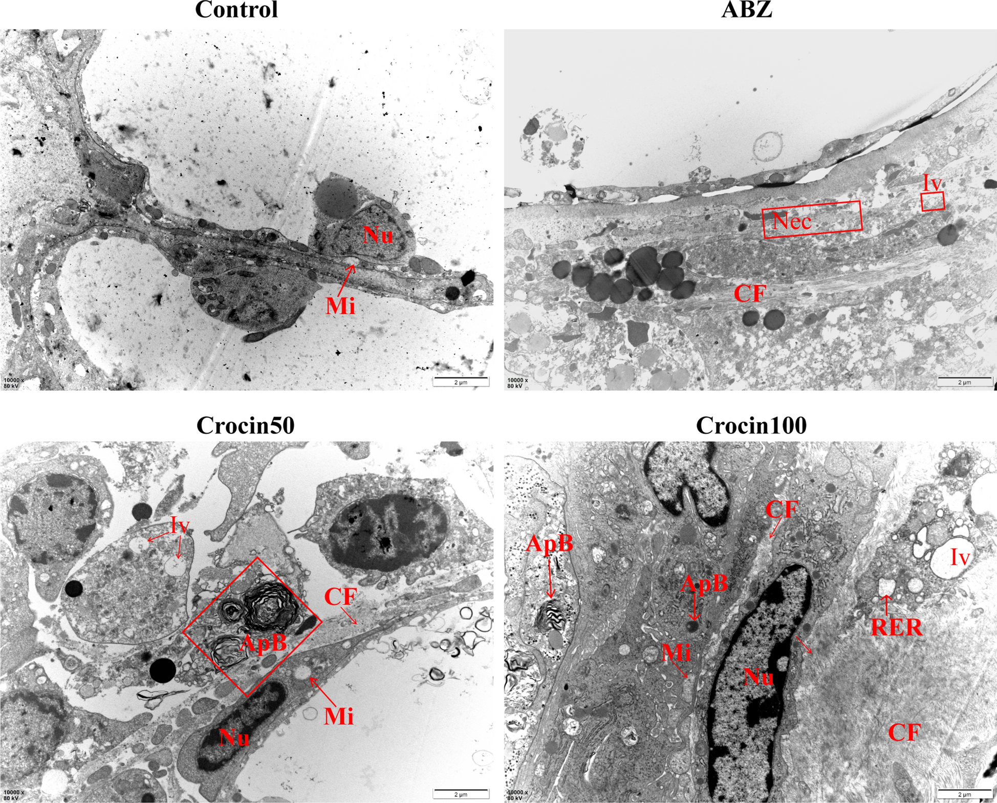 Fig. 7