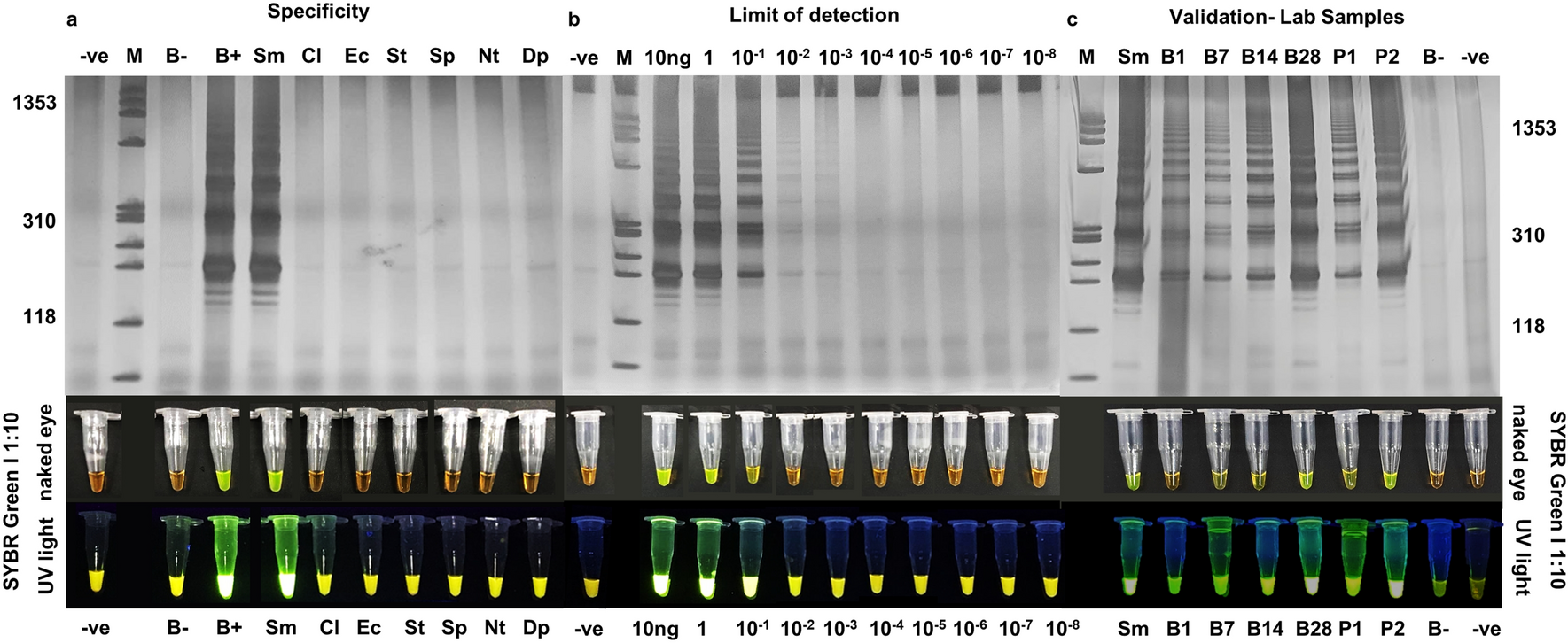 Fig. 4