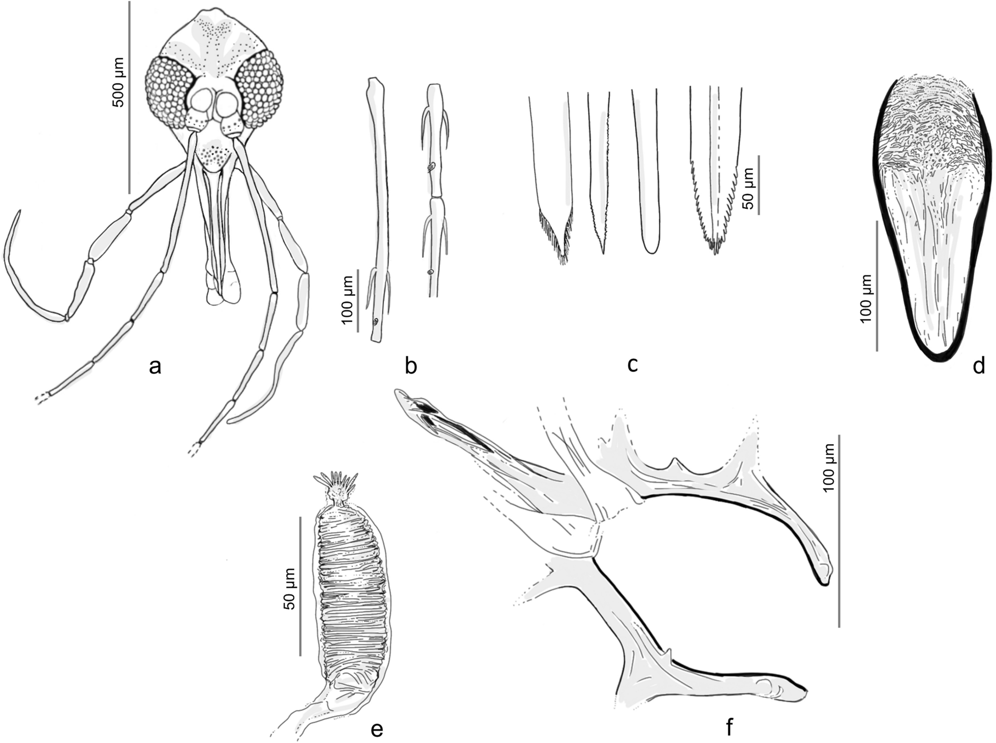 Fig. 5