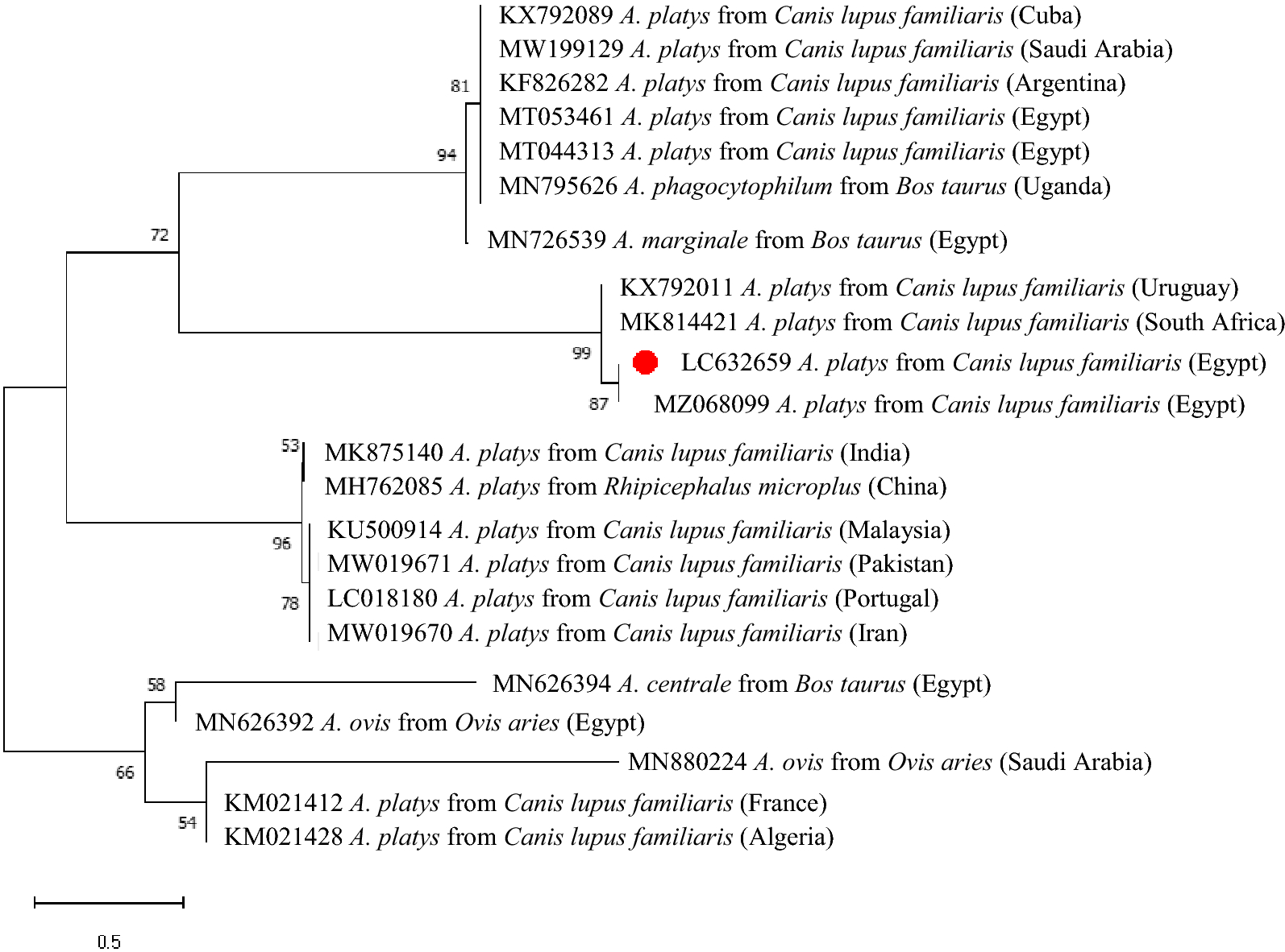 Fig. 2