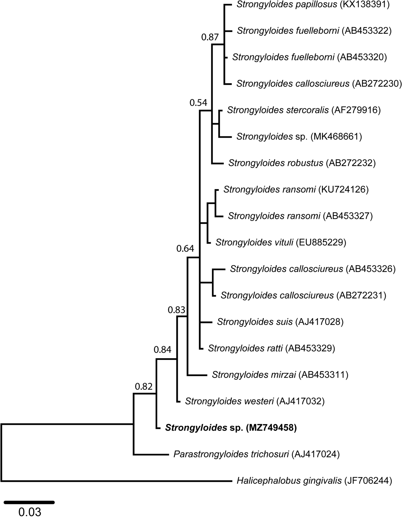 Fig. 1