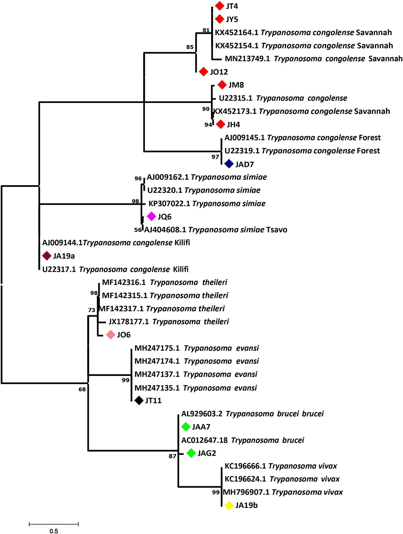 Fig. 2