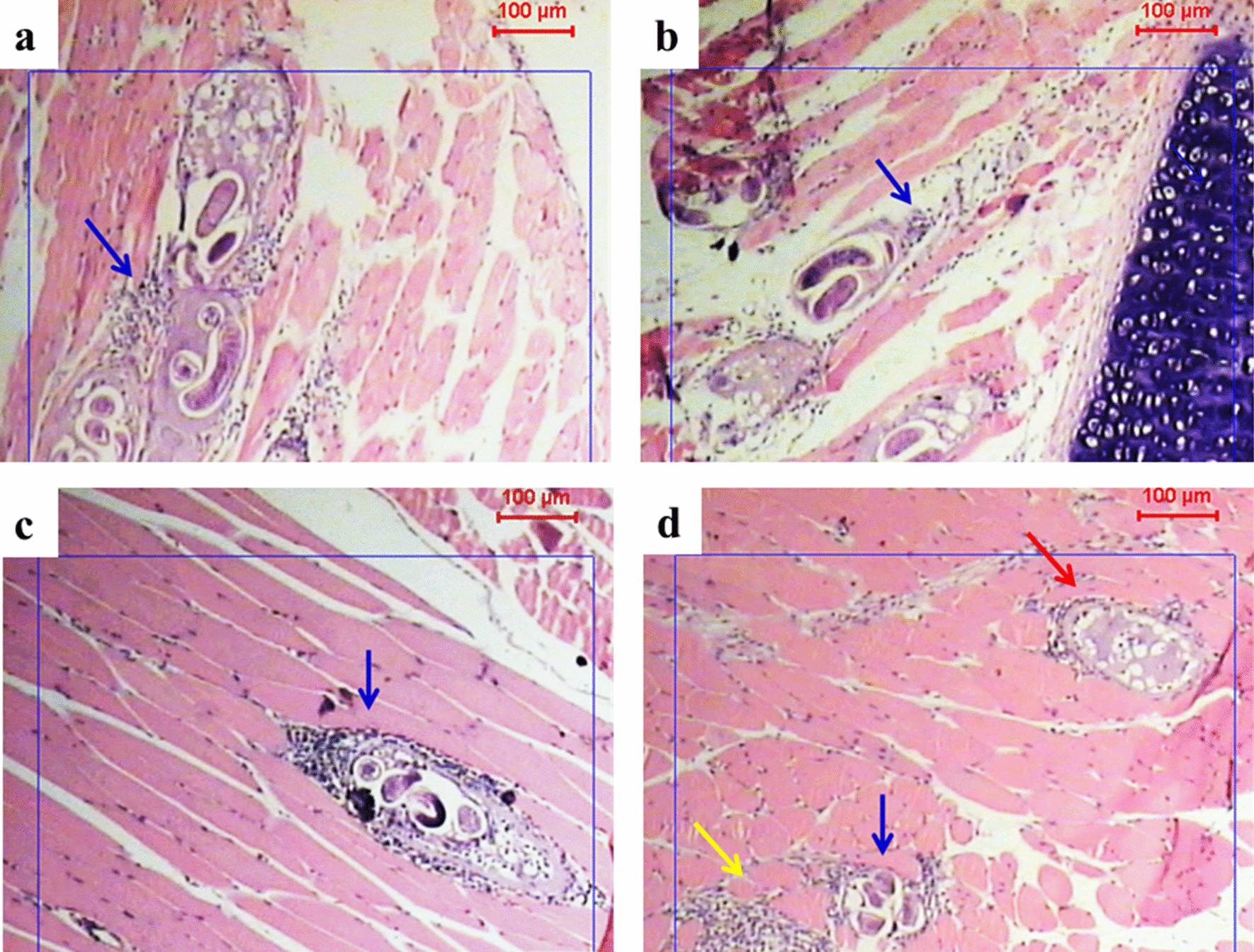 Fig. 4