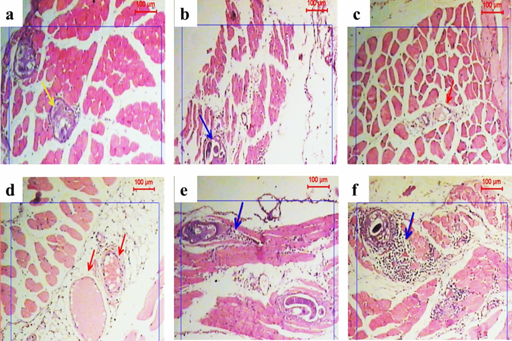 Fig. 6