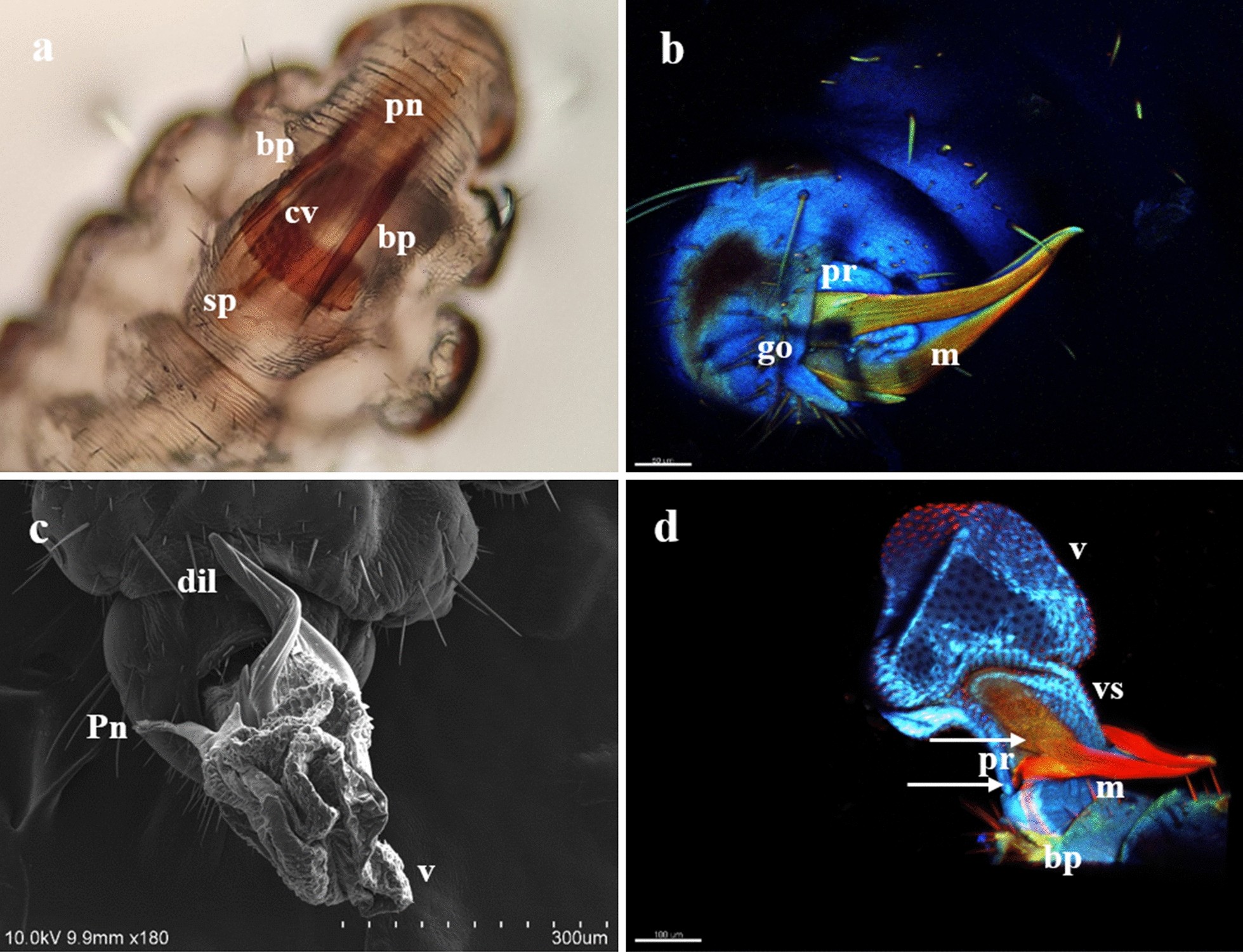 Fig. 3 a–d