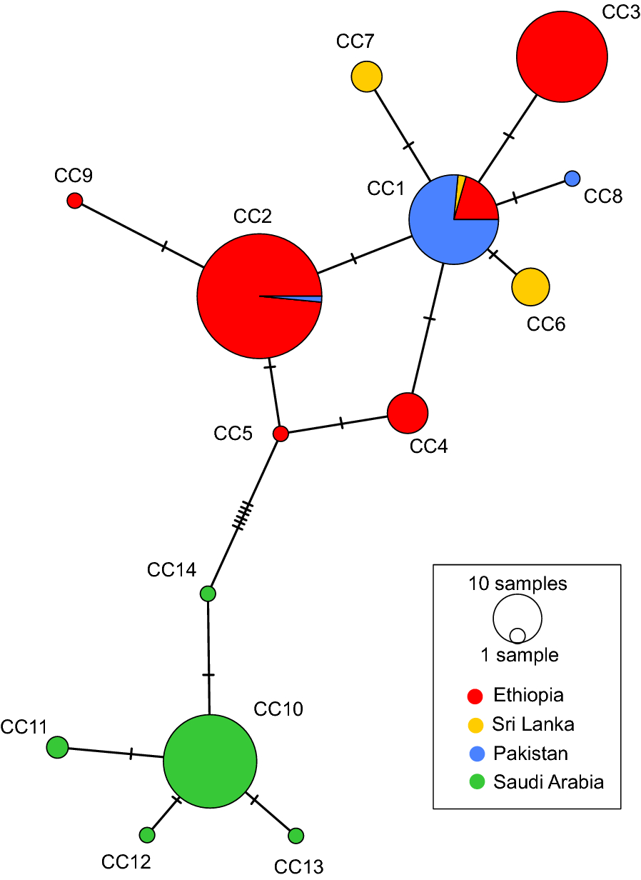 Fig. 3