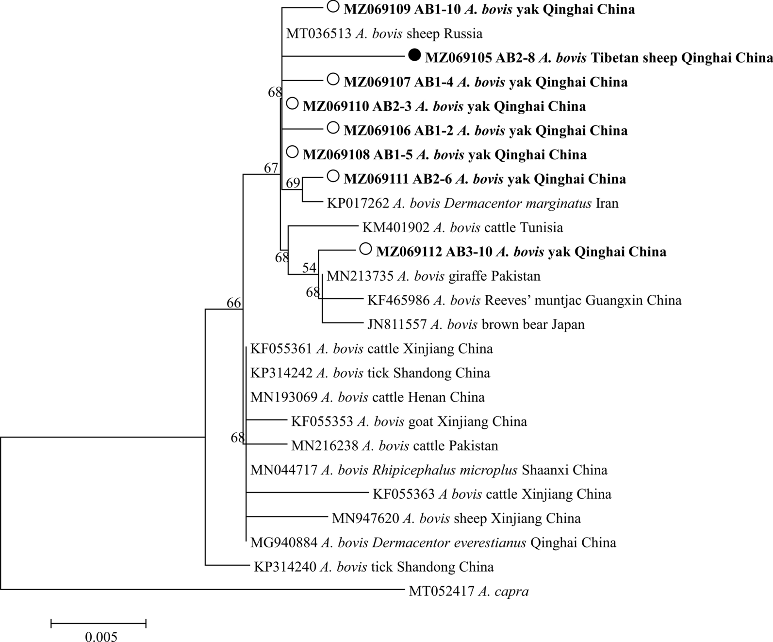 Fig. 3