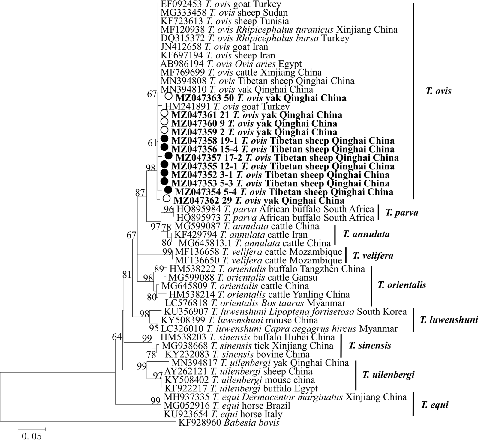 Fig. 6