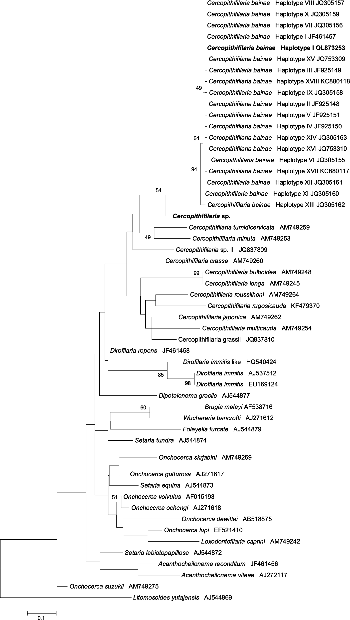 Fig. 4