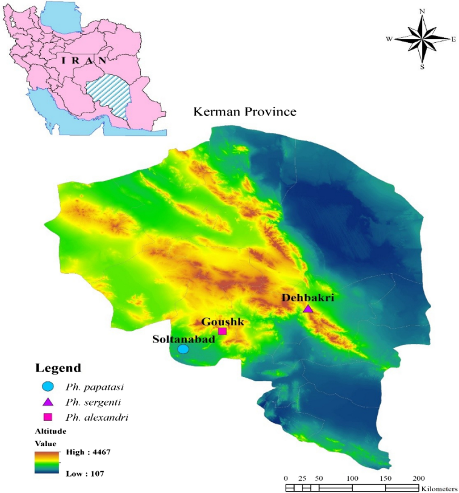 Fig. 1