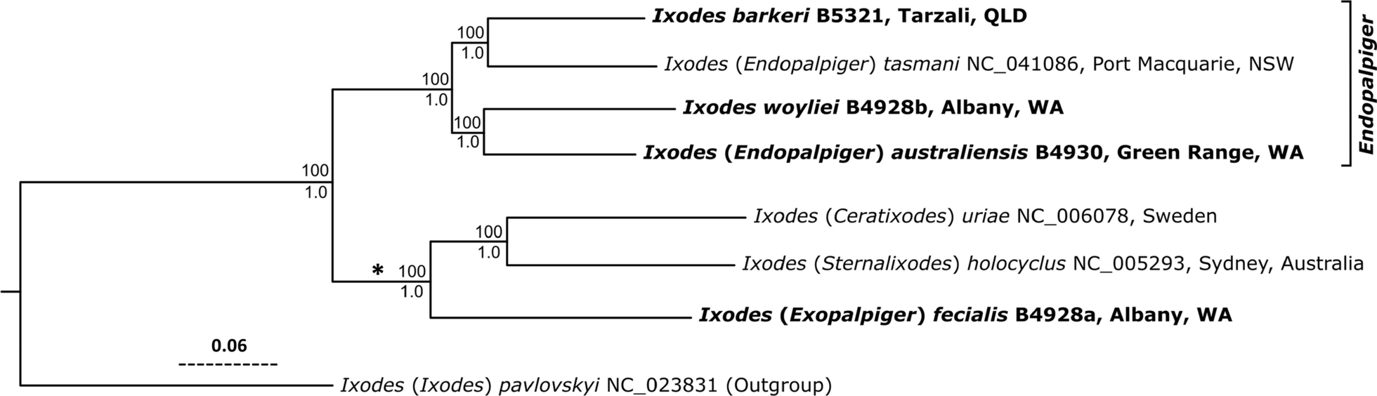 Fig. 10