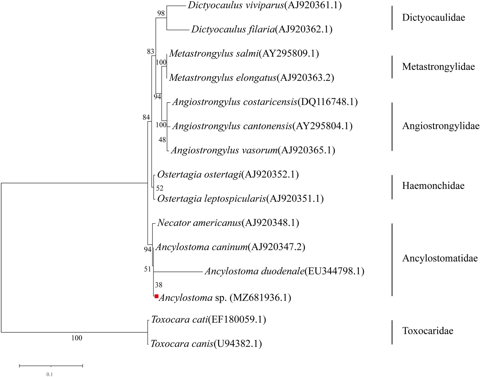 Fig. 1