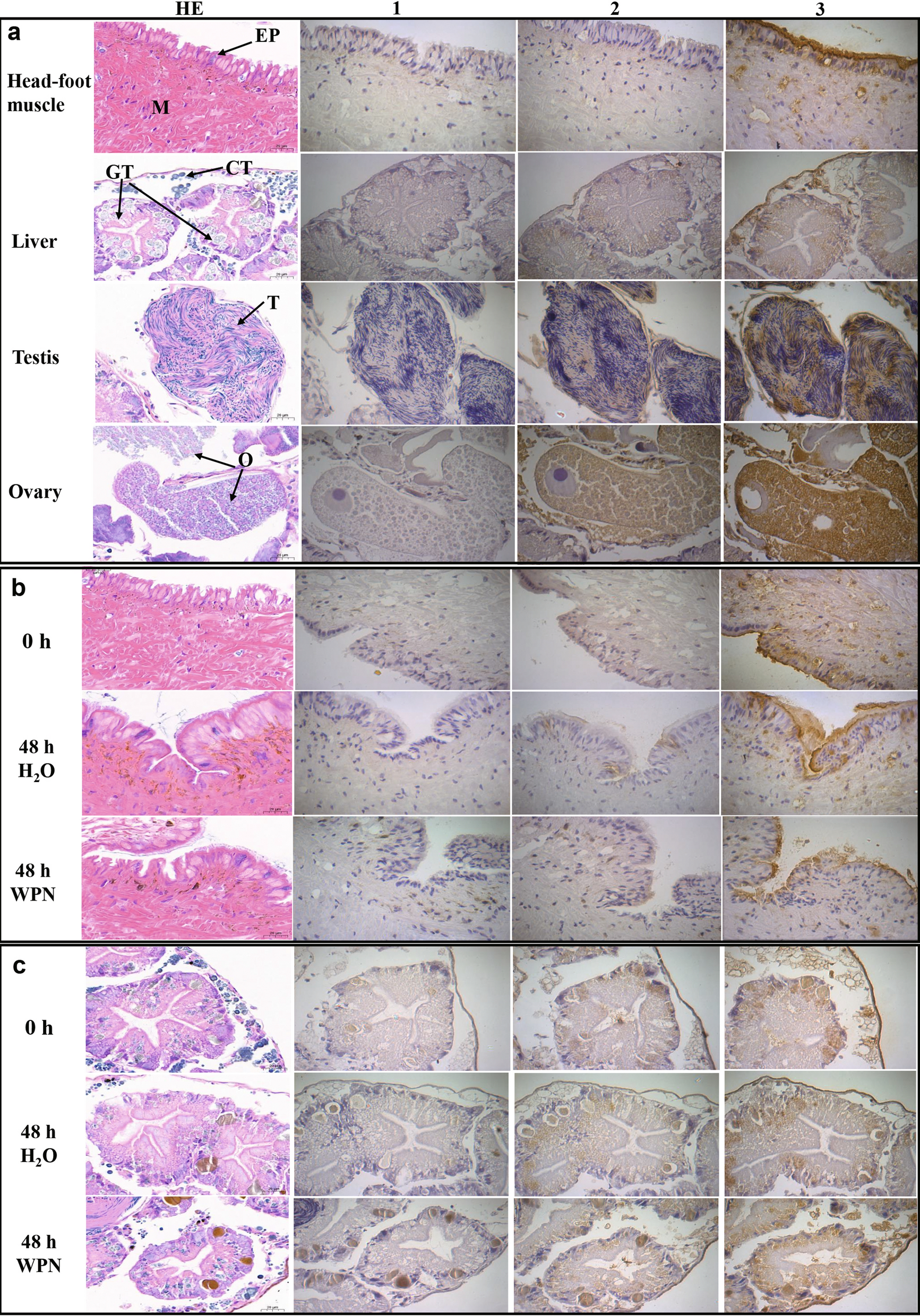 Fig. 4a, b