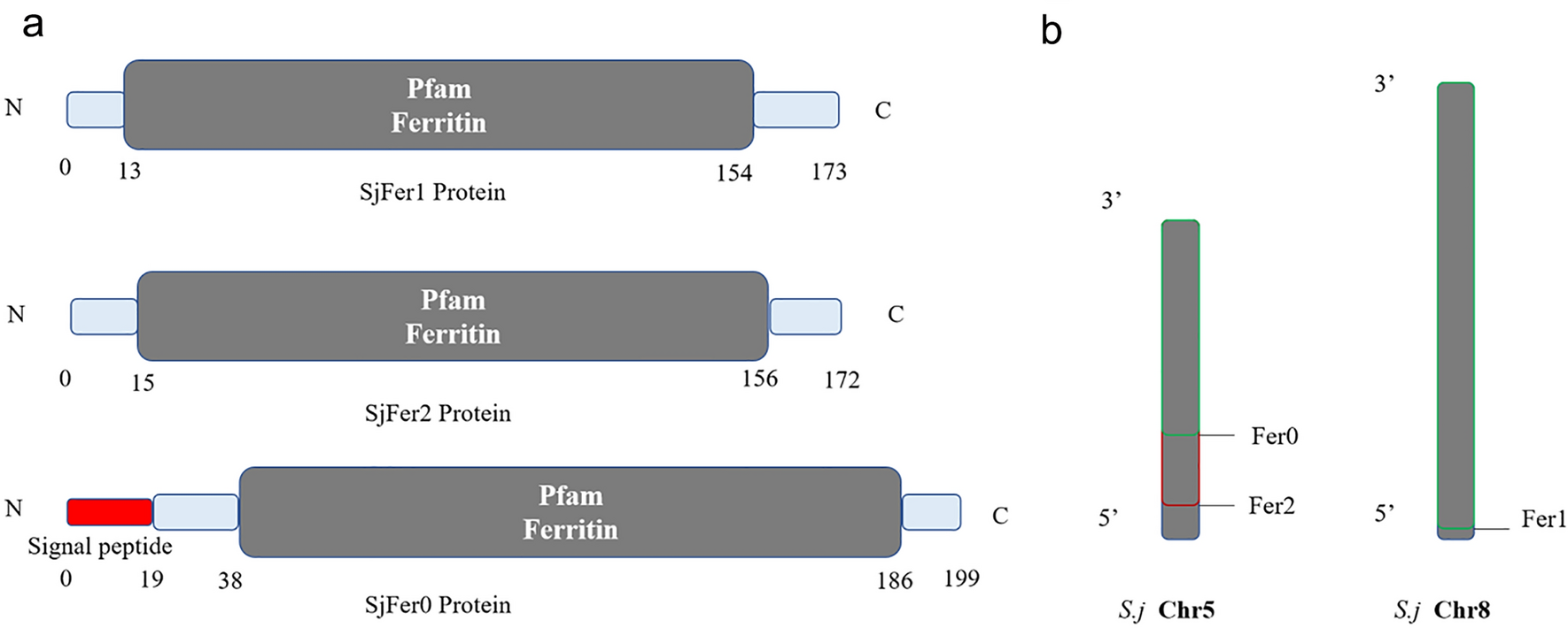 Fig. 1 