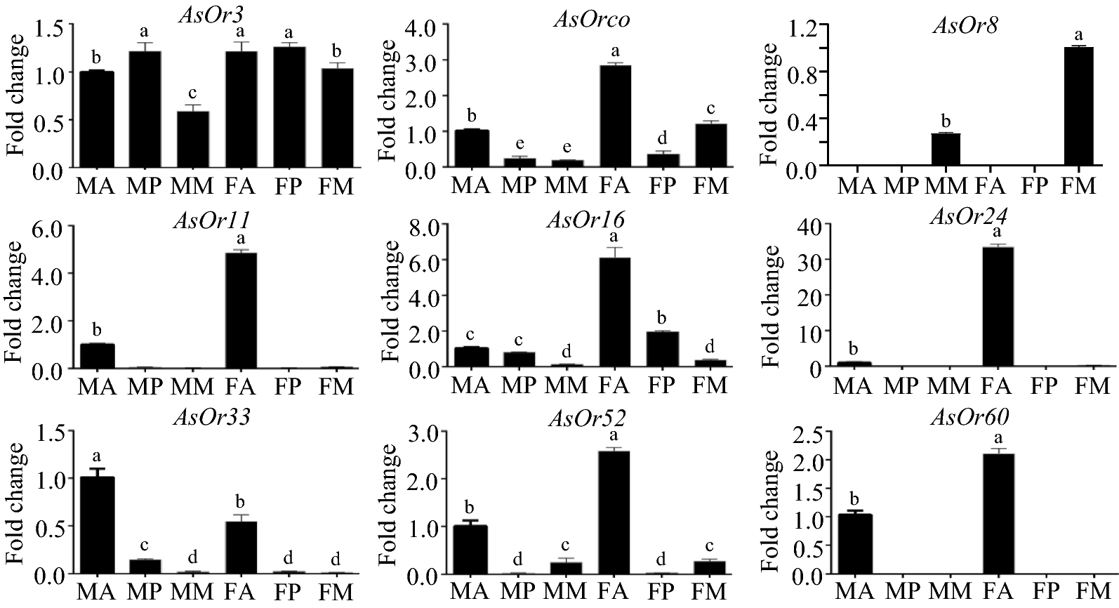 Fig. 6