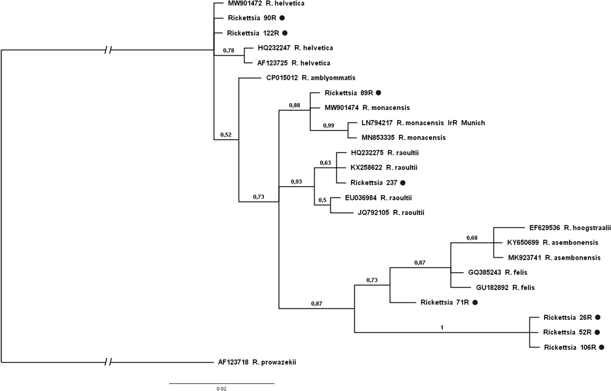 Fig. 2