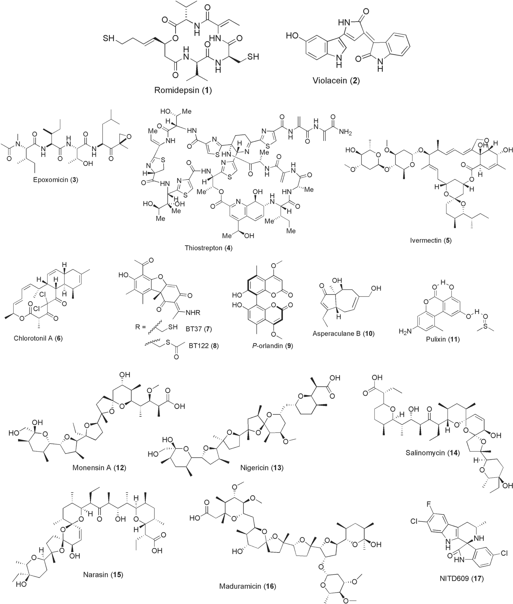 Fig. 2