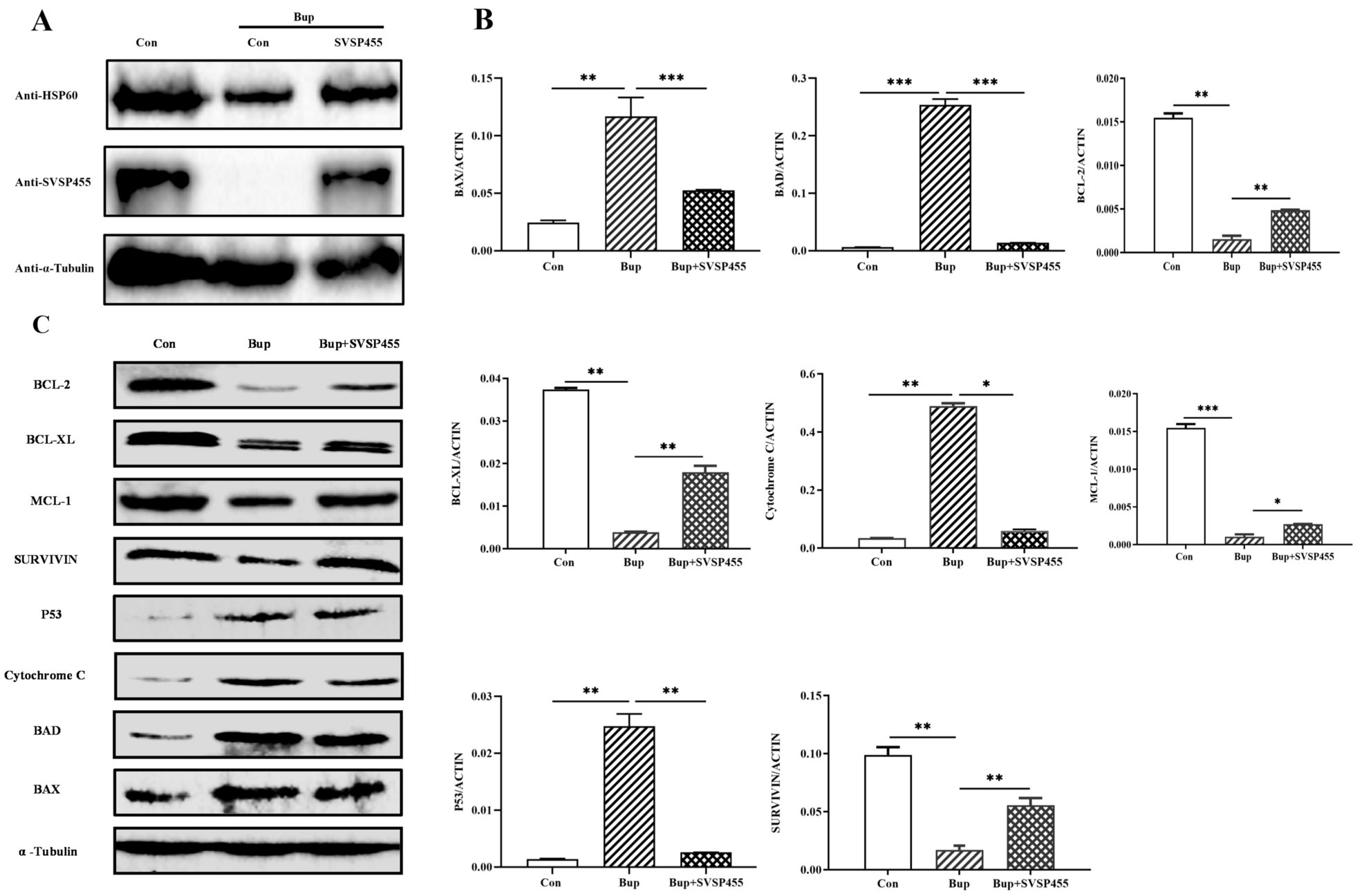 Fig. 11