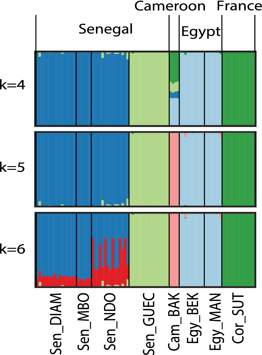 Fig. 4