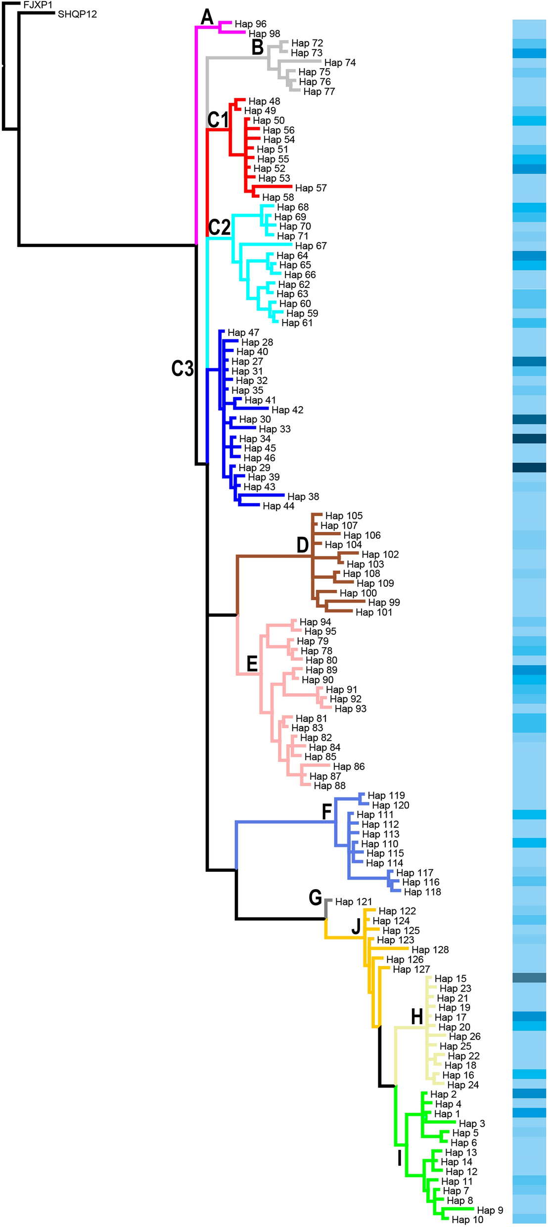 Fig. 1