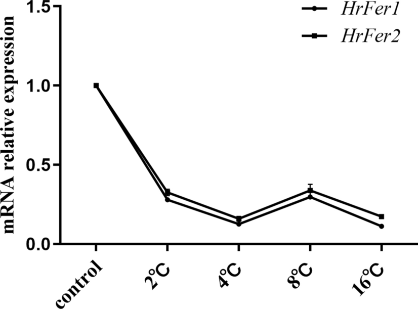 Fig. 8