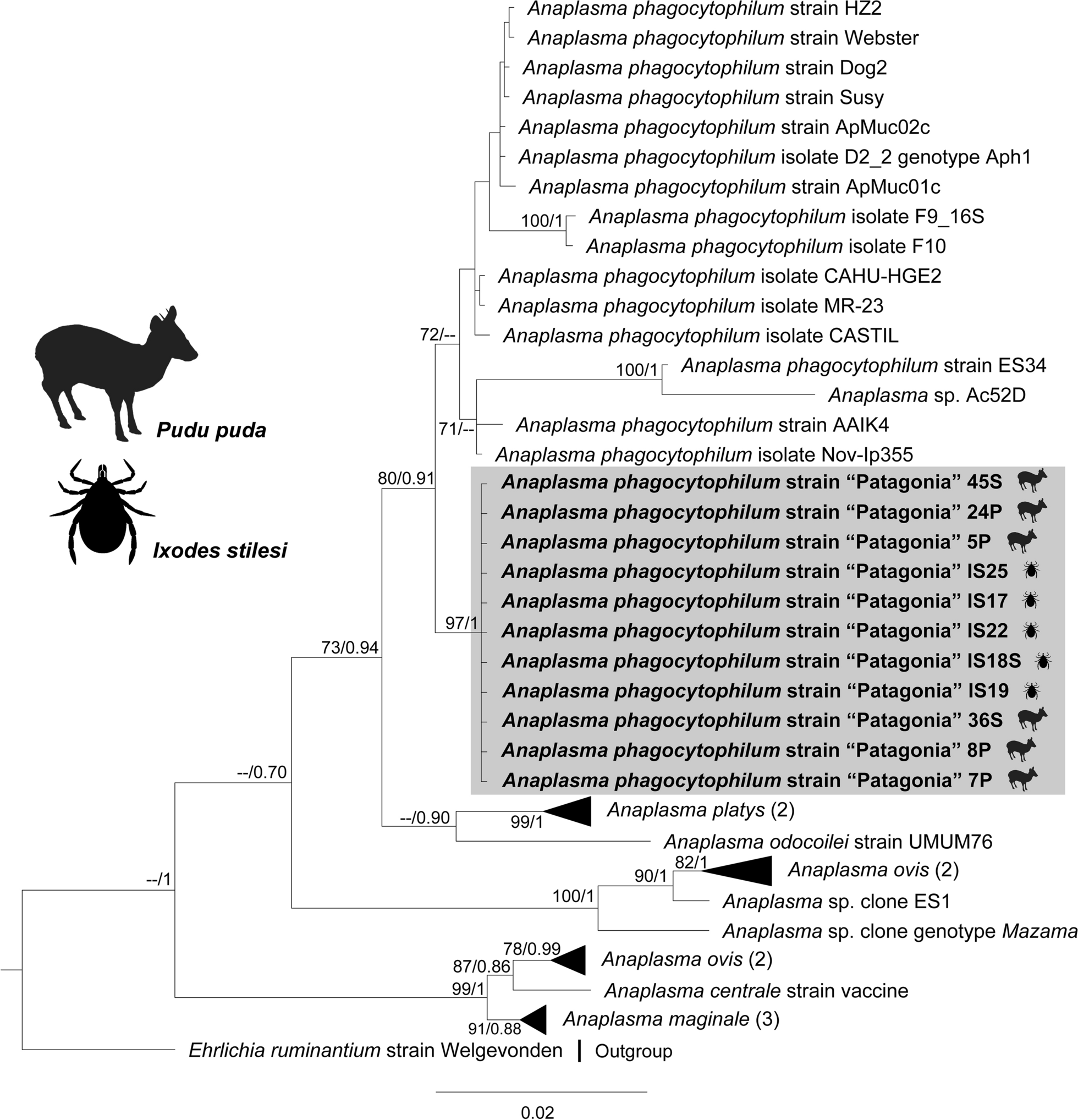 Fig. 2