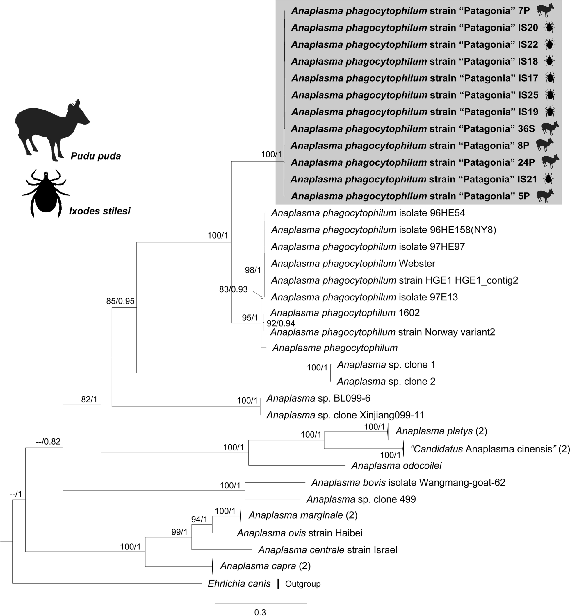 Fig. 3