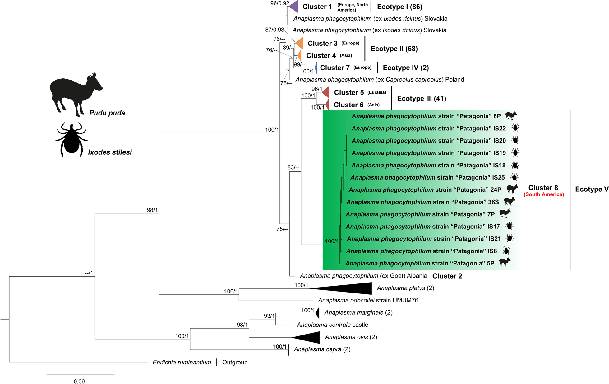 Fig. 4