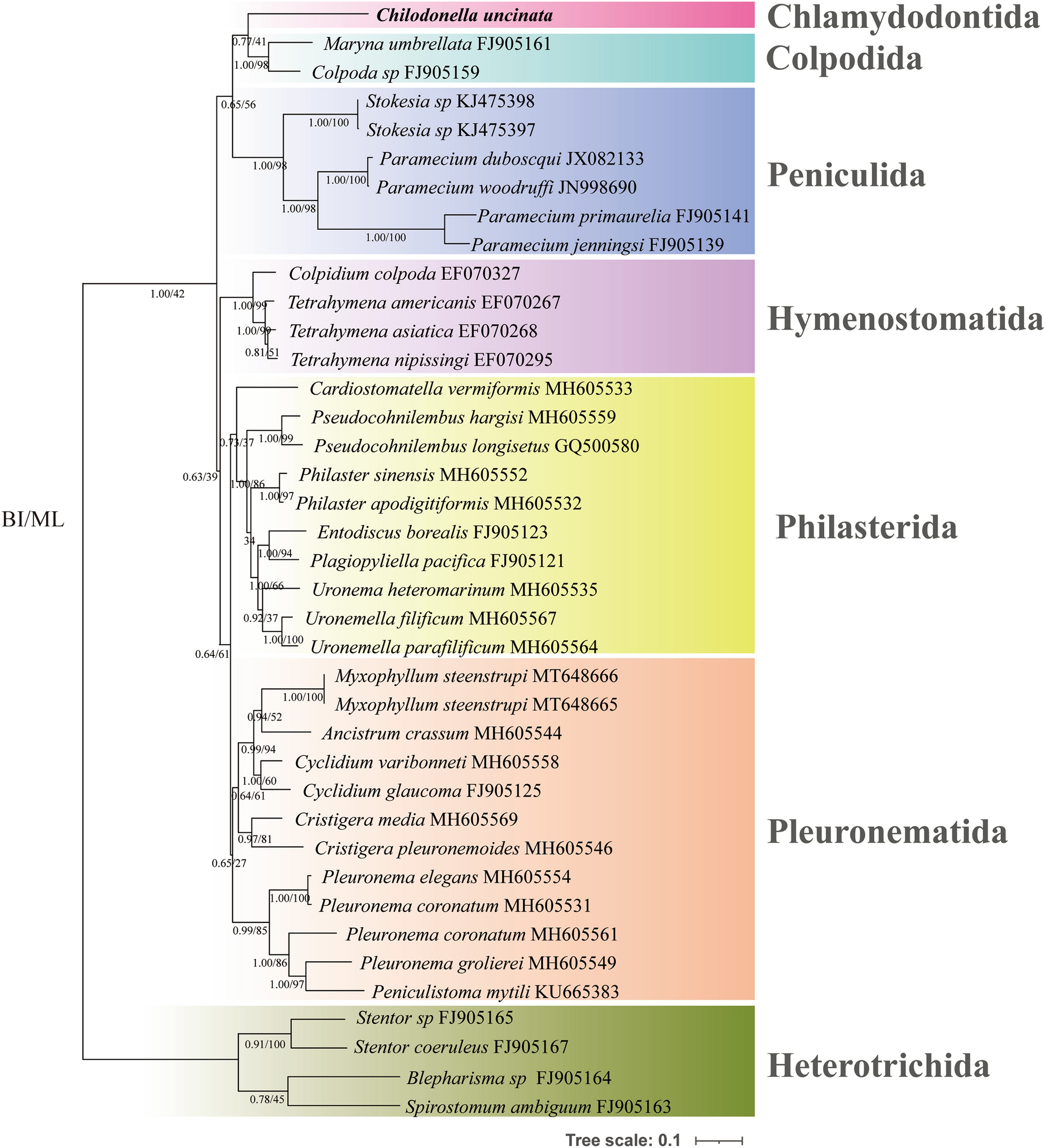 Fig. 6