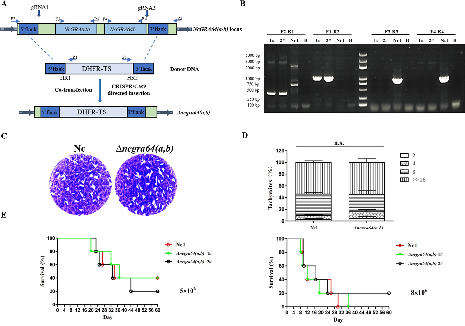 Fig. 2