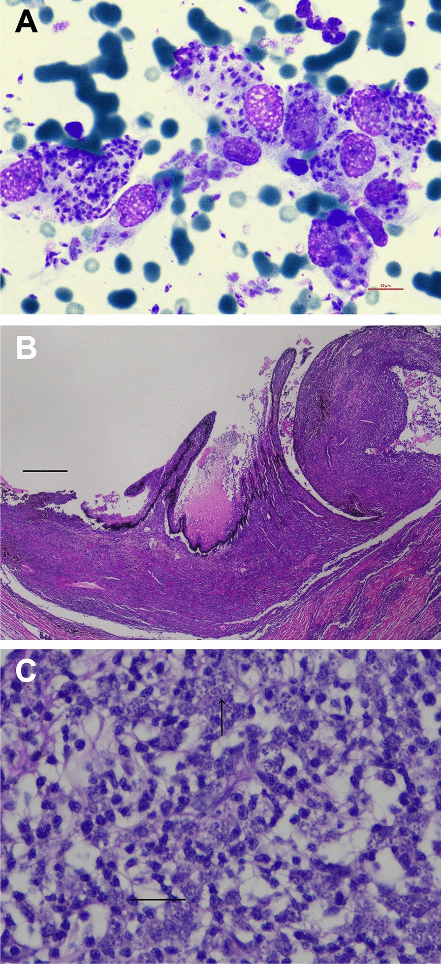 Fig. 2