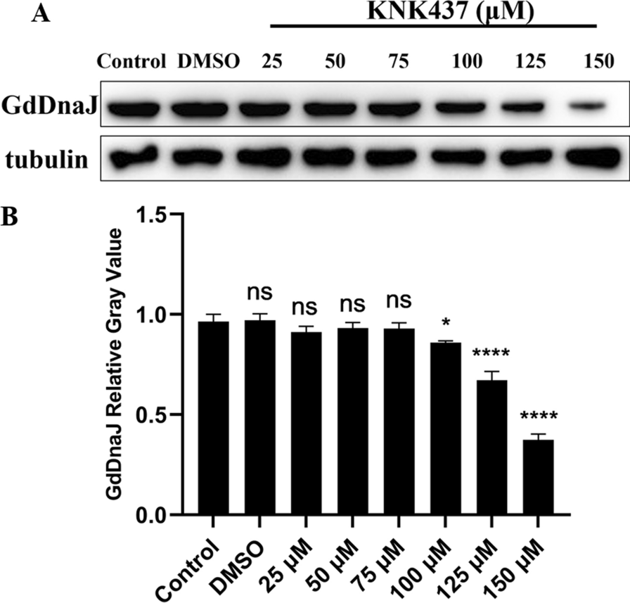 Fig.4