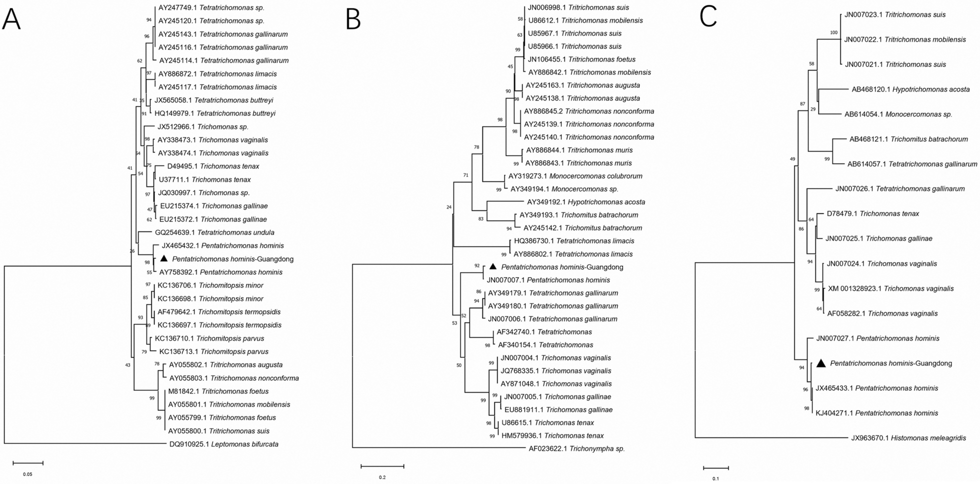 Fig. 7