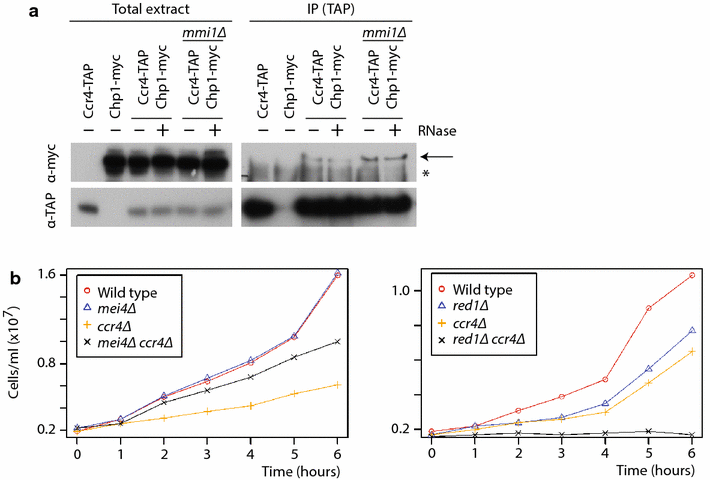 Fig. 6